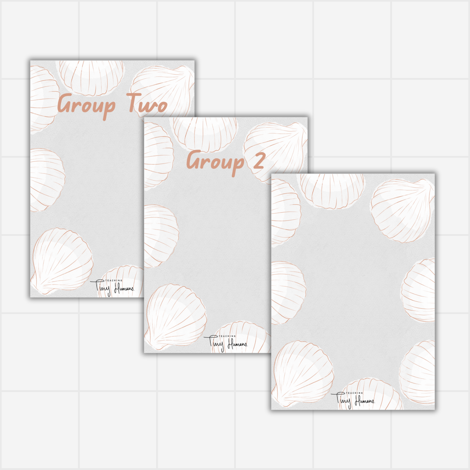 Group Displays - Sea Shell Collection. - Teaching Tiny Humans