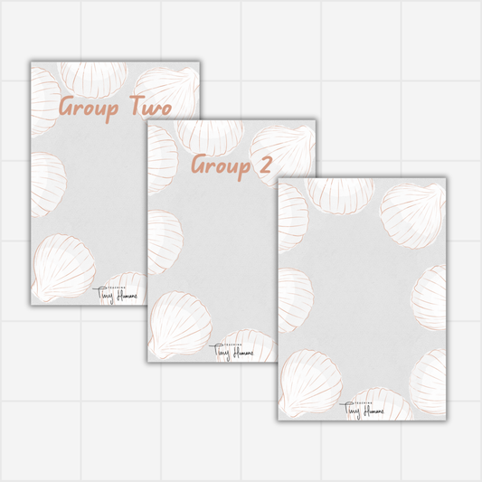 Group Displays - Sea Shell Collection. - Teaching Tiny Humans