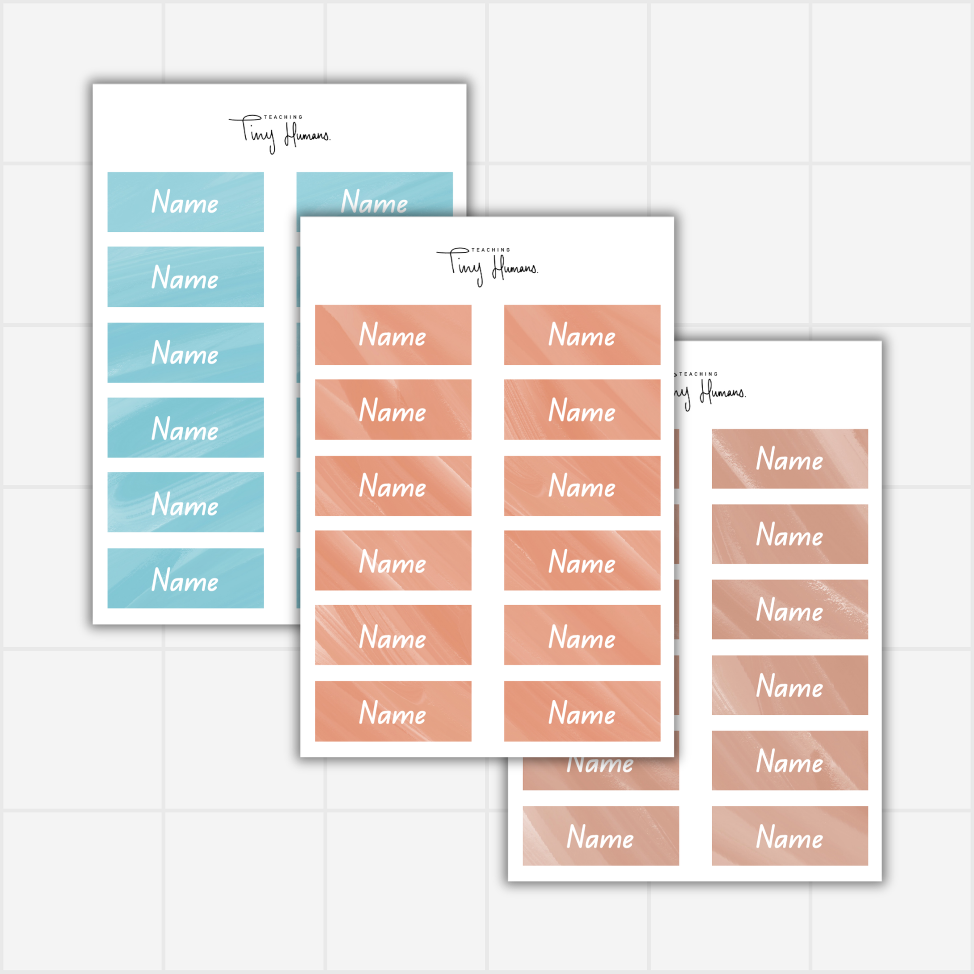 Group Displays - Sea Shell Collection. - Teaching Tiny Humans