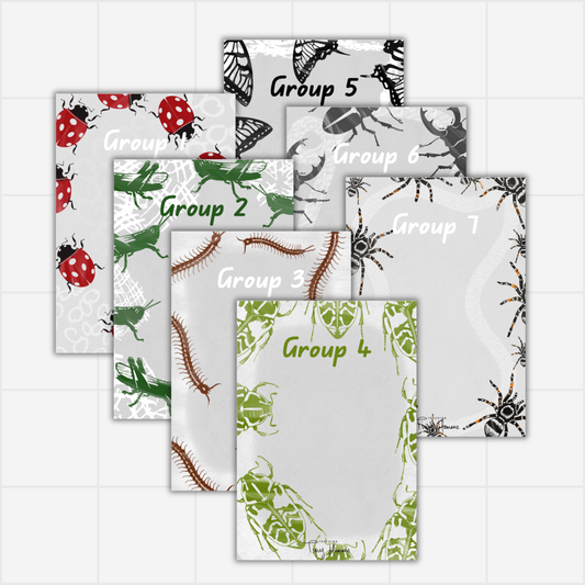 Group Displays - Creepy Crawly Collection. - Teaching Tiny Humans