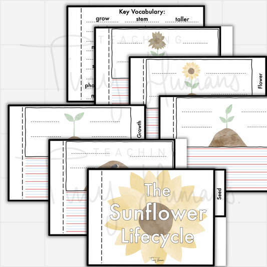 Lifecycle Booklet - Sunflower - Teaching Tiny Humans